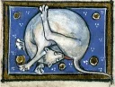 🌚-Medieval Cats by @bitrmn, Telegram Sticker