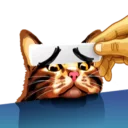 😕-Meme The Cat, Telegram Sticker
