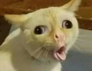 🤮-memecuatraday, Telegram Sticker