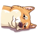 🙁-Moar Dog Memes, Telegram Sticker