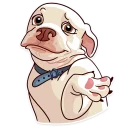 🤷-Moar Dog Memes, Telegram Sticker