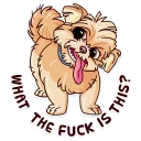 😛-Moar Dog Memes, Telegram Sticker