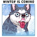 ❄-Moar Dog Memes, Telegram Sticker