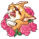 😚-Moar Dog Memes, Telegram Sticker