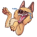 Moar Dog Memes