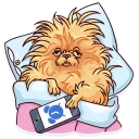 ⏰-Moar Dog Memes, Telegram Sticker