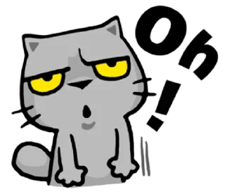 👌-meow zhua zhua @noustiker, Telegram Sticker
