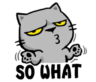 🤔-meow zhua zhua @noustiker, Telegram Sticker