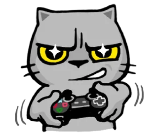 🤓-meow zhua zhua @noustiker, Telegram Sticker
