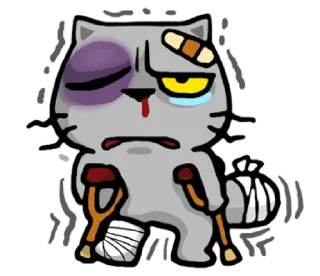 😷-meow zhua zhua @noustiker, Telegram Sticker