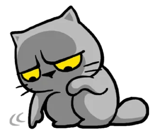 meow zhua zhua @noustiker