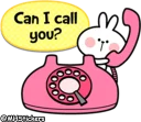 🤙-Spoiled Rabbit Useful Talk, Telegram Sticker