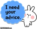 🙏-Spoiled Rabbit Useful Talk, Telegram Sticker