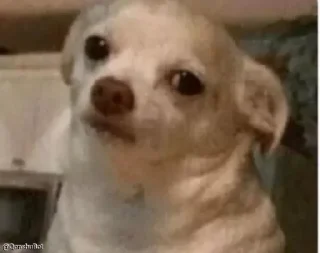 🗿-Tweet meme mhzdkh @Qonshubot, Telegram Sticker