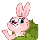 👋-Mia Bunny, Telegram Sticker