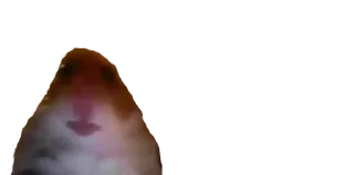 😶-Мікро-Пес, Telegram Sticker