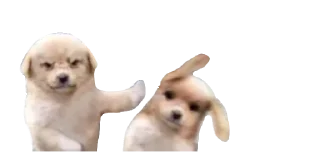 😡-Мікро-Пес, Telegram Sticker