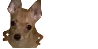 🙄-Мікро-Пес, Telegram Sticker
