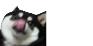 😝-Мікро-Пес, Telegram Sticker