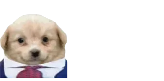😎-Мікро-Пес, Telegram Sticker