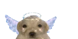 😇-Мікро-Пес, Telegram Sticker