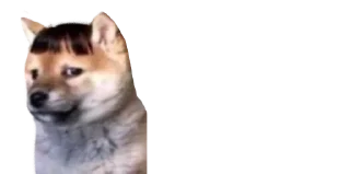 😐-Мікро-Пес, Telegram Sticker