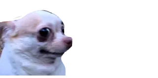 😨-Мікро-Пес, Telegram Sticker