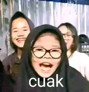 😾-Punya piooo, Telegram Sticker