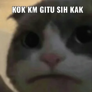 🥺-Punya piooo, Telegram Sticker
