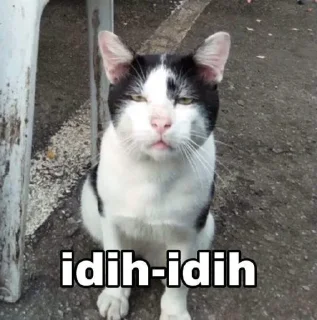 🤨-Punya piooo, Telegram Sticker