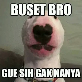 😏-Punya piooo, Telegram Sticker