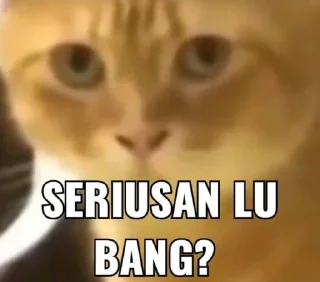 😱-Punya piooo, Telegram Sticker