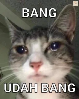 😭-Punya piooo, Telegram Sticker