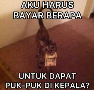 🥺-Punya piooo, Telegram Sticker