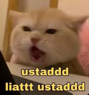 😢-Punya piooo, Telegram Sticker