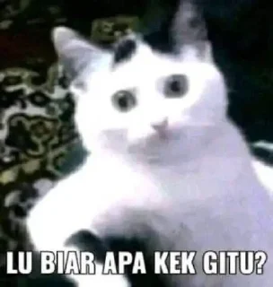 😒-Punya piooo, Telegram Sticker
