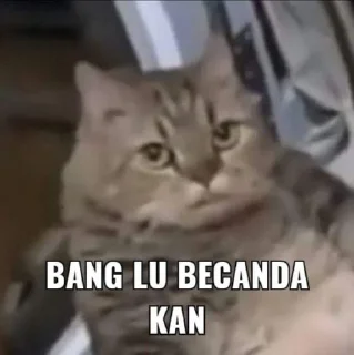🥺-Punya piooo, Telegram Sticker