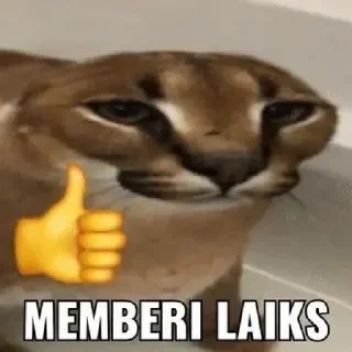 👍-Punya piooo, Telegram Sticker