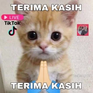 🙏-Punya piooo, Telegram Sticker