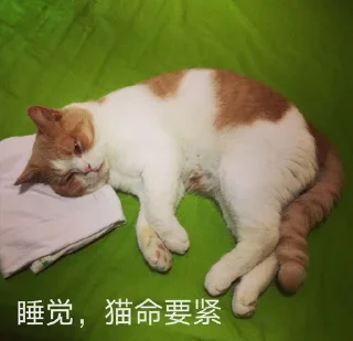 😴-mindfucking @guguguji, Telegram Sticker