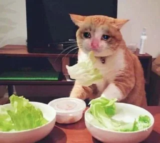 🥺-@Mllhllb, Telegram Sticker