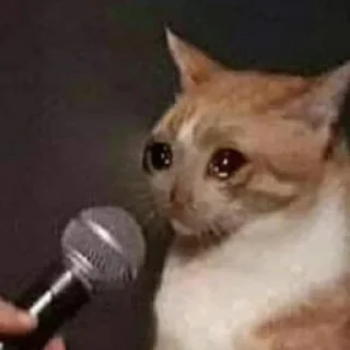 🥺-@Mllhllb, Telegram Sticker