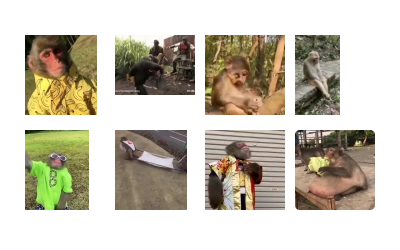 @HUBXE @WTF69KARTIK MONKEY PACK