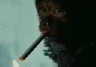 🚬-@HUBXE @WTF69KARTIK MONKEY PACK, Telegram Sticker