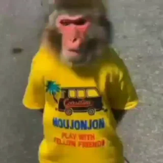 🤬-@HUBXE @WTF69KARTIK MONKEY PACK, Telegram Sticker