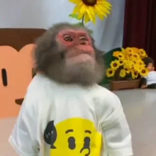 😂-@HUBXE @WTF69KARTIK MONKEY PACK, Telegram Sticker