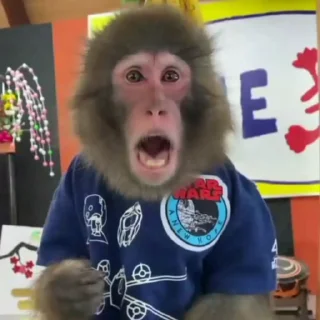 😮-@HUBXE @WTF69KARTIK MONKEY PACK, Telegram Sticker