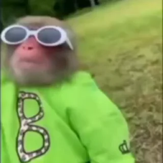 😎-Monke :: @stickroom, Telegram Sticker