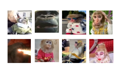 Monkeys by @offstikbot