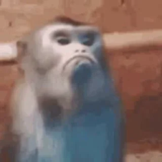 ☹️-Monkeys by @offstikbot, Telegram Sticker